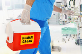 Organspende, Transplantation, Operation