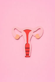 Grafik eines Uterus
