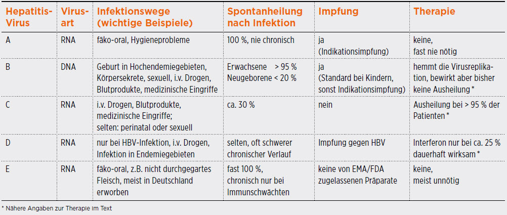 Virus-Hepatitis – Ein Update | Hausärzte Gefragt