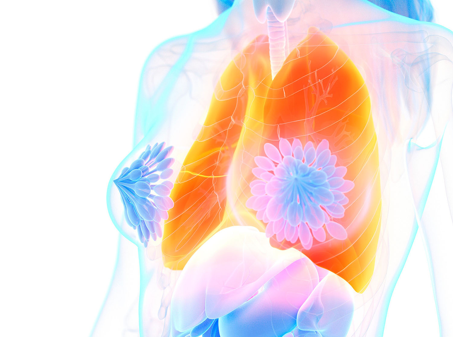 Frauen mit Asthma klagen häufiger über Giemen und Husten, betroffene Männer berichten öfter über verstärkte nächtliche Symptomatik: Auch bei der Behandlung obstruktiver Atemwegserkrankungen hilft es, geschlechtsspezifische Unterschiede zu kennen.